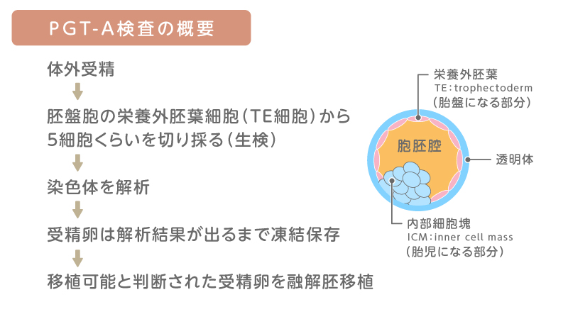 PGT-Aとはどんな検査