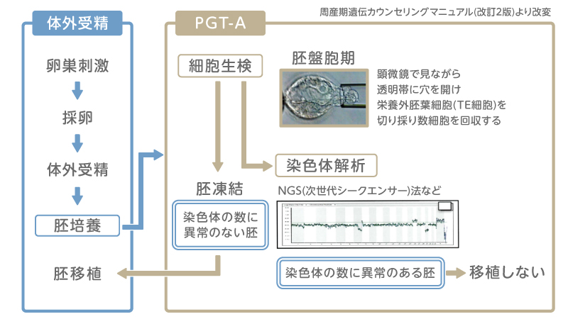 PGT-Aを行う場合の体外受精の流れ