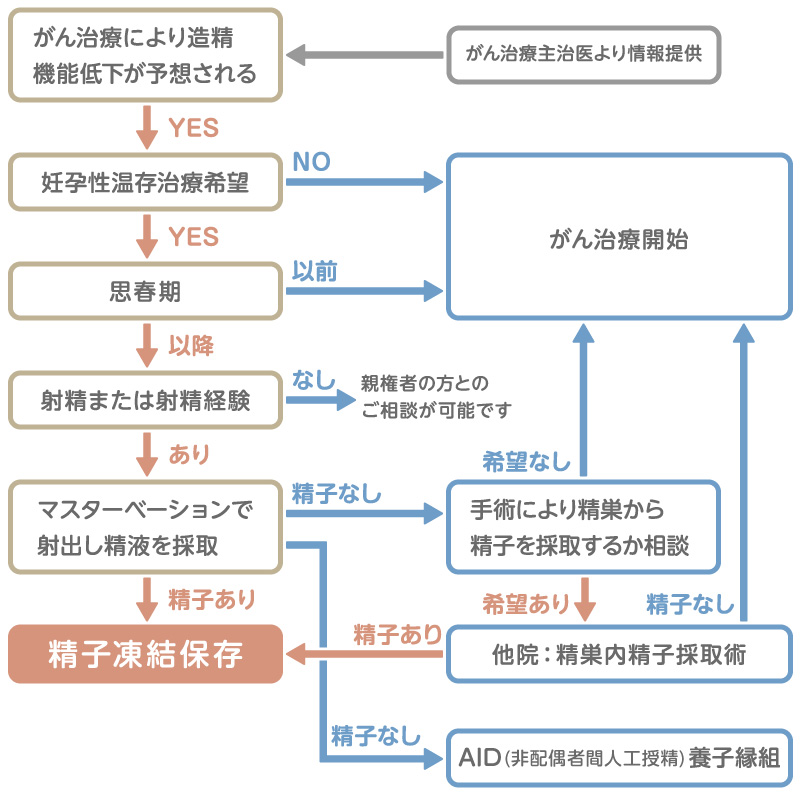 男性の妊孕性温存のフローチャート