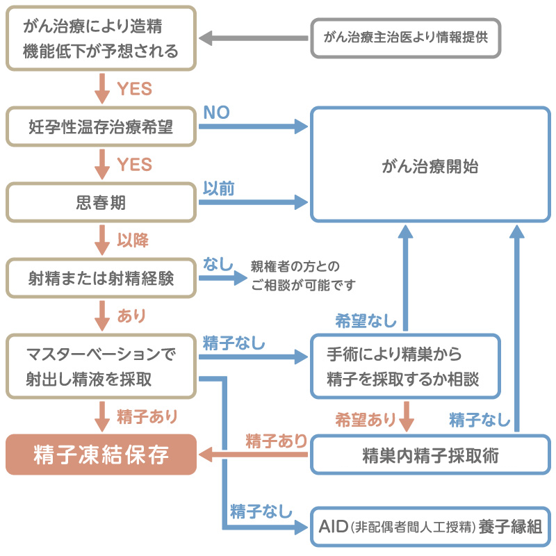 男性の妊孕性温存のフローチャート